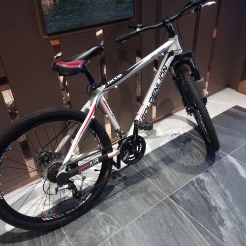 GOLDEN   LION，（老名牌）鋁合金 山地車  大平賣