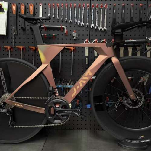 2025 JAVA VEGA TT 24速 電變油剎碳纖維公路車 送水架前後蛙燈