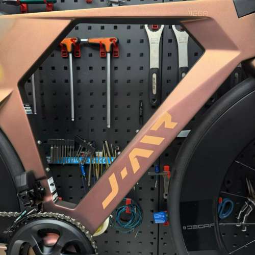 2025 JAVA VEGA TT 24速 電變油剎碳纖維公路車 送水架前後蛙燈