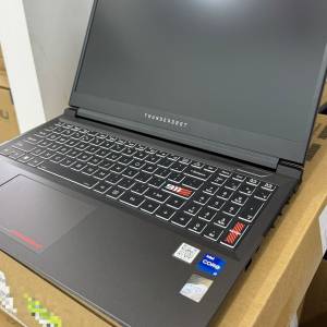 [有保，99%new]THUNDEROBOT R15 14代i7 4060 laptop notebook 筆電 Gaming 打機 2k ...