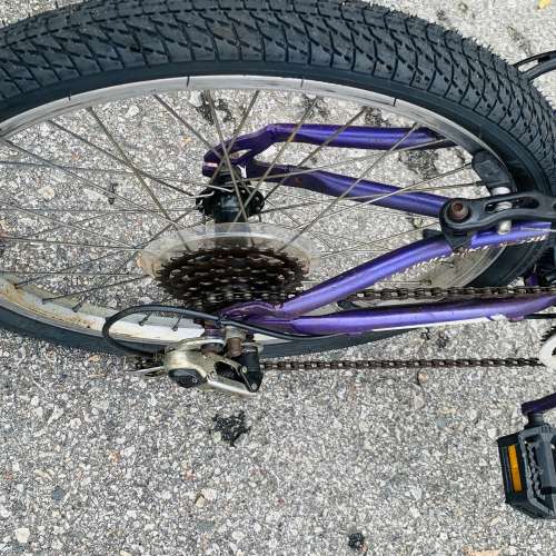 20吋車軚摺合單車