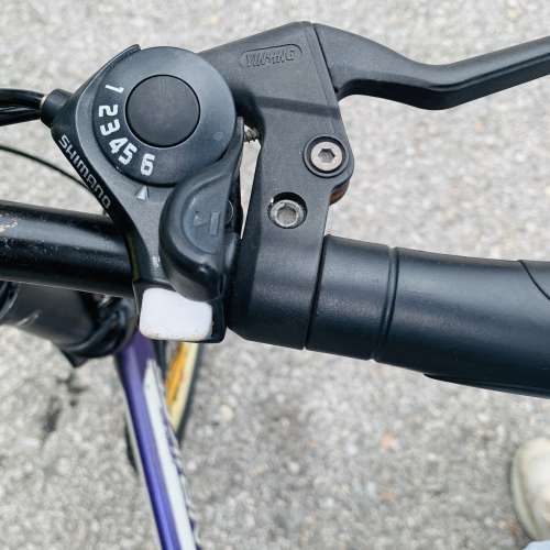 20吋車軚摺合單車