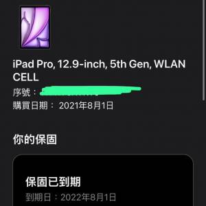 ipad pro 12.9 第五代 5G 插卡 M1 (2021) 256GB 灰色