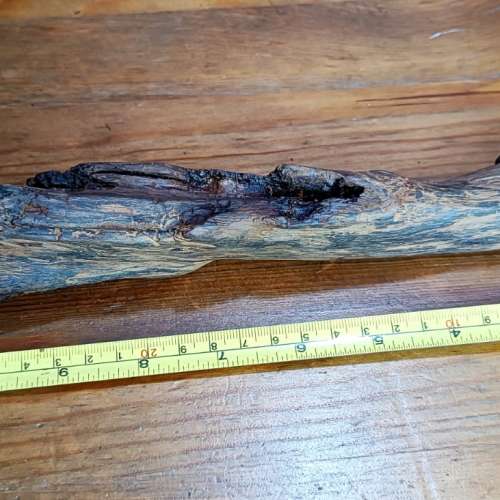 沉香A   長32cm 183kg  售HKD$915元