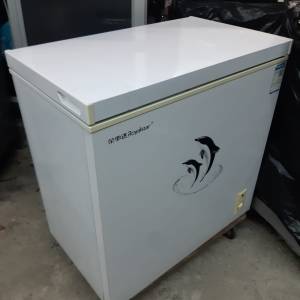 Royalstar 大容量160公升栄士達冰櫃