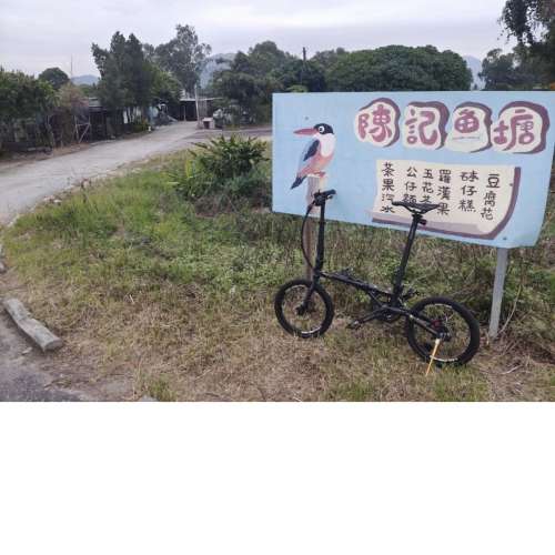 風行16寸摺車