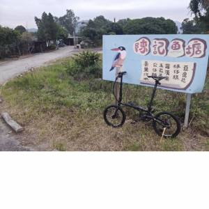 風行16寸摺車