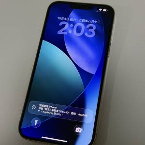 iPhone 13 Pro Max 256GB 港行 金色 not 12 14 128GB 512GB 256 13Pro 13ProMax