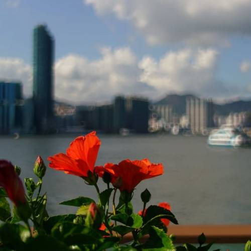 Tokina RMC 35-70mm f4 菲林年代OM mount