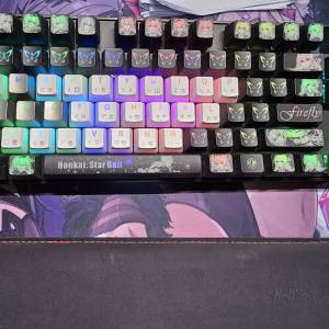 steelseries apex pro wireless tkl 2023 螢幕有時破圖 送防塵罩 2套 OEM 透光鍵帽 ...