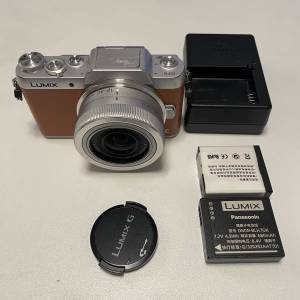 Panasonic GF8 無反相機