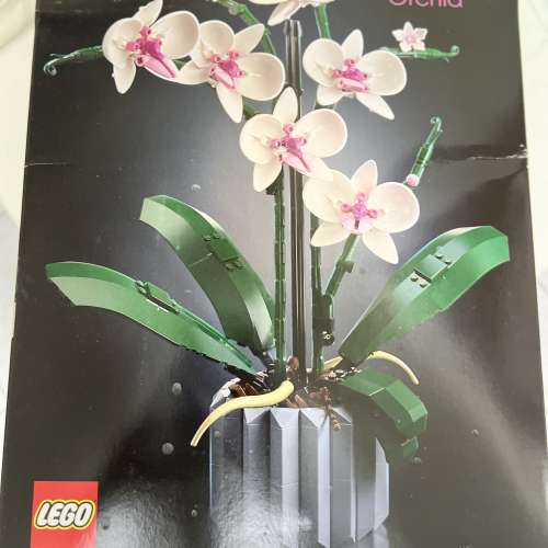 Lego 蘭花原盒未開封