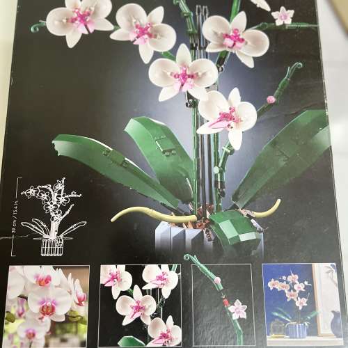 Lego 蘭花原盒未開封