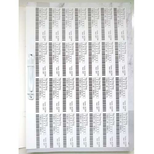 臨場必備系列 文憑試模擬試題 中國語文卷一