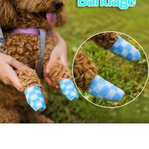 全新 寵物用彈性自動黏貼繃帶   藍色 綠色