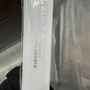 99new pad mini 8/256 灰色