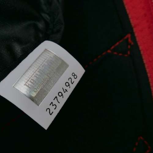 Hard shell Ferrari 法拉利Gear backpack (not Puma) 背囊 背包