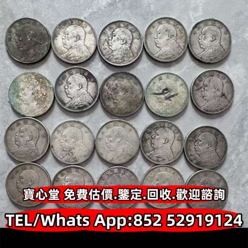 袁世凱 袁大頭 孫中山 孫小頭，貴州黔寶，竹子幣，汽車幣，軍閥幣，軍閥版，甘肅加...