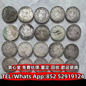 袁世凱 袁大頭 孫中山 孫小頭，貴州黔寶，竹子幣，汽車幣，軍閥幣，軍閥版，甘肅加...