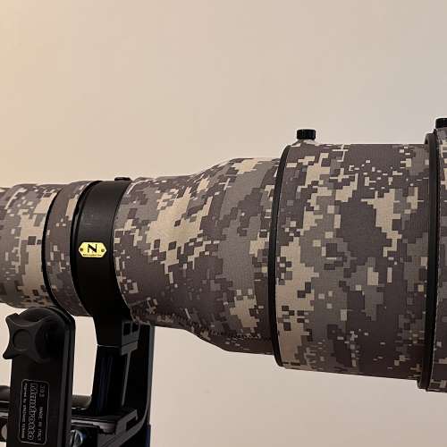 Nikon AF-S NIKKOR 600mm F4G ED VR