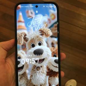 realme gt8 pro 12+256