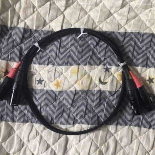 分析力高！音樂感豐富！ 非一般 Coaxial 數碼線 一條