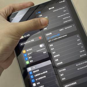 ipad mini 7 wifi 版 256gb 只激活十天