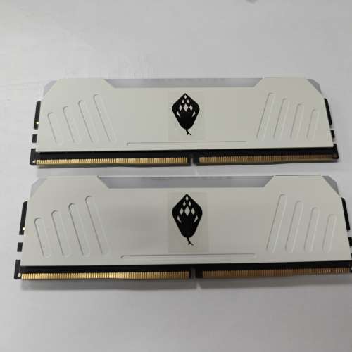 ANACOMDA EryxTataricus DDR5-7200 32GB Kit CL34 (16GB X2) 白色