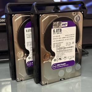WD Purple 6TB Surveillance 硬碟HDD一隻