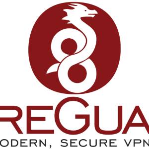 【香港專用】 路由器VPN遠程配置服務