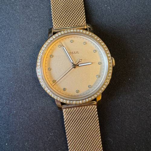 Fossil 女裝 石錶