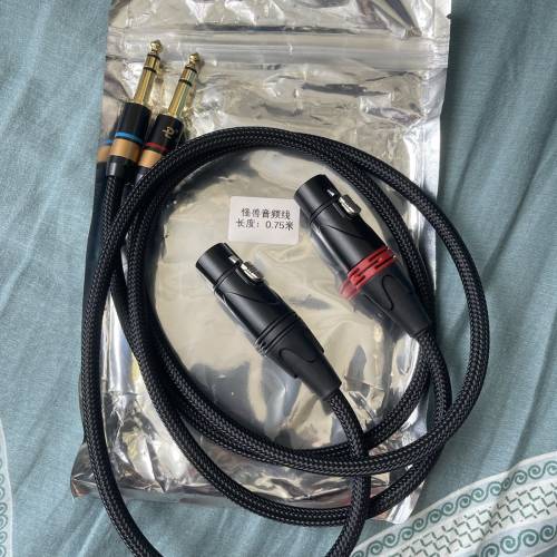 音響線全新 1 對$50