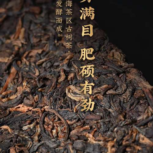 老同志2021年百年特製金磚 600克/餅 熟茶磚茶 普洱茶
