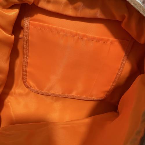 chip and dale 迪士尼 disney 大鼻鋼牙 奇奇蒂蒂 書包 背囊 schoolbag backpack