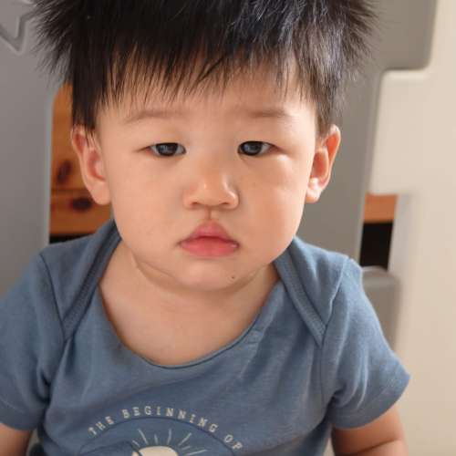 Oppo Find X8 Ultra 國行 512GB 白色  無花如新  國內保養