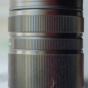 Panasonic Leica DG 100-400mm f4-6.3