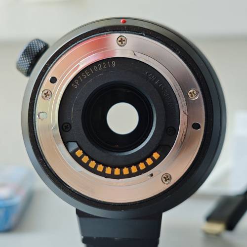 Panasonic Leica DG 100-400mm f4-6.3