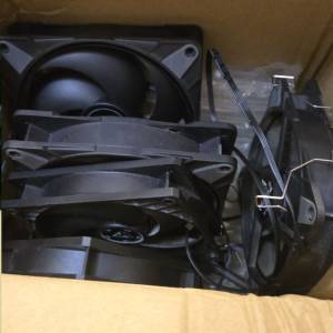 Arctic P12/12 MAX/14MAX （無盒）