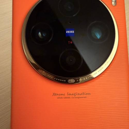 vivo x 100 pro 256g(國行）