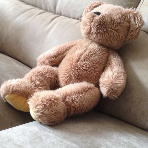 👶 SHASH's Teddy Bear USED 玩具 👶