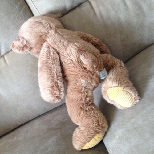 👶 SHASH's Teddy Bear USED 玩具 👶