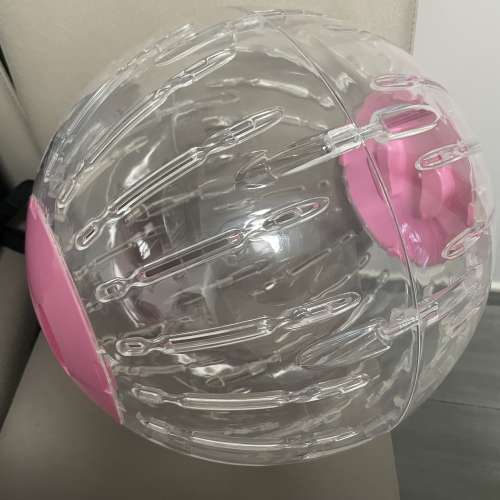 龍貓跑滾球亞克力透明健康運動玩具鼠類小寵物用新品