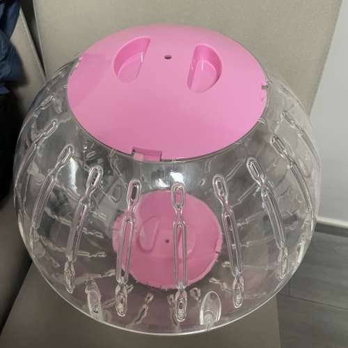 龍貓跑滾球亞克力透明健康運動玩具鼠類小寵物用新品