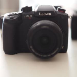 Panasonic GH5S+12-35mm F/2.8 II