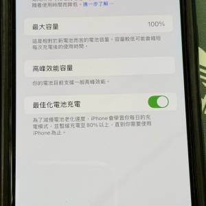 (可議) Apple iPhone Xs Max 256GB 電池100%健康度