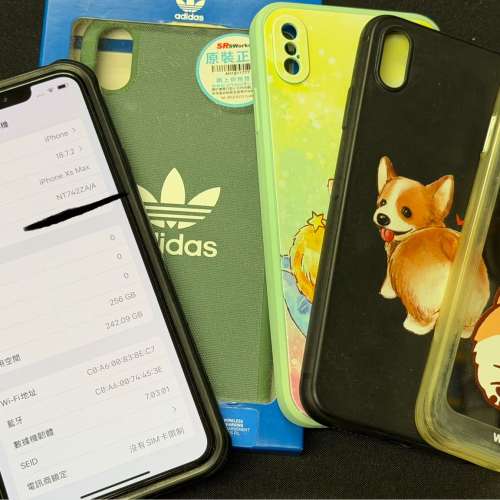 (可議) Apple iPhone Xs Max 256GB 電池100%健康度