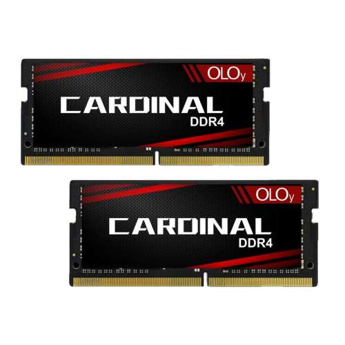 oloy 32GB DDR4 2666 So-DIMM x 2