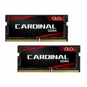 oloy 32GB DDR4 2666 So-DIMM x 2