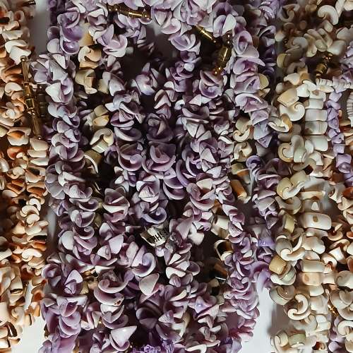 清理 存貨平售， 一手34條貝殼頸鏈16 寸，如照片顯示 共售三百元， 多量價錢可再商...