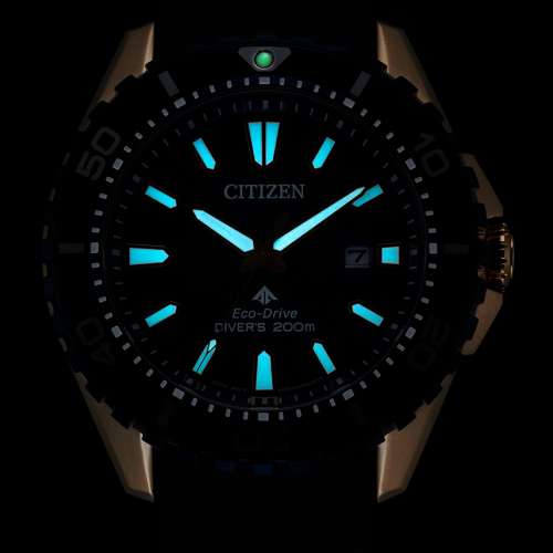 Citizen BN0196-01L 光動能錶